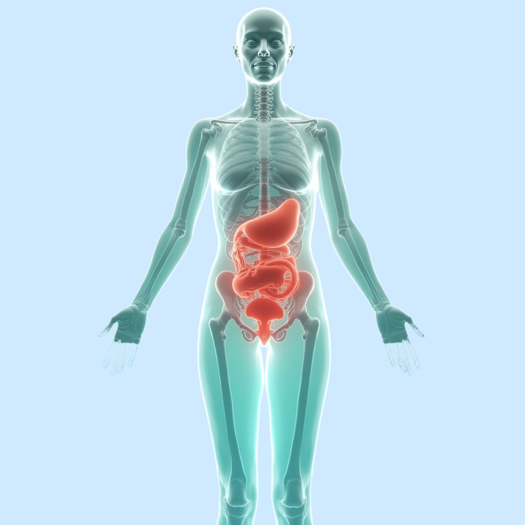 Pelvic Organ Prolapse