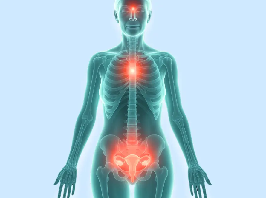 Menopause & Hormonal Optimization