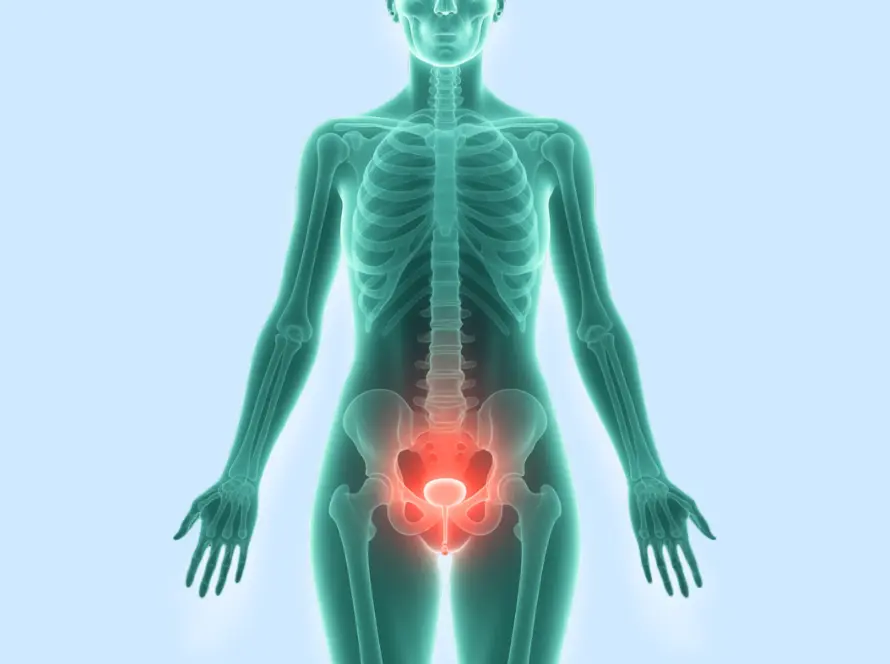Overactive Bladder (OAB)